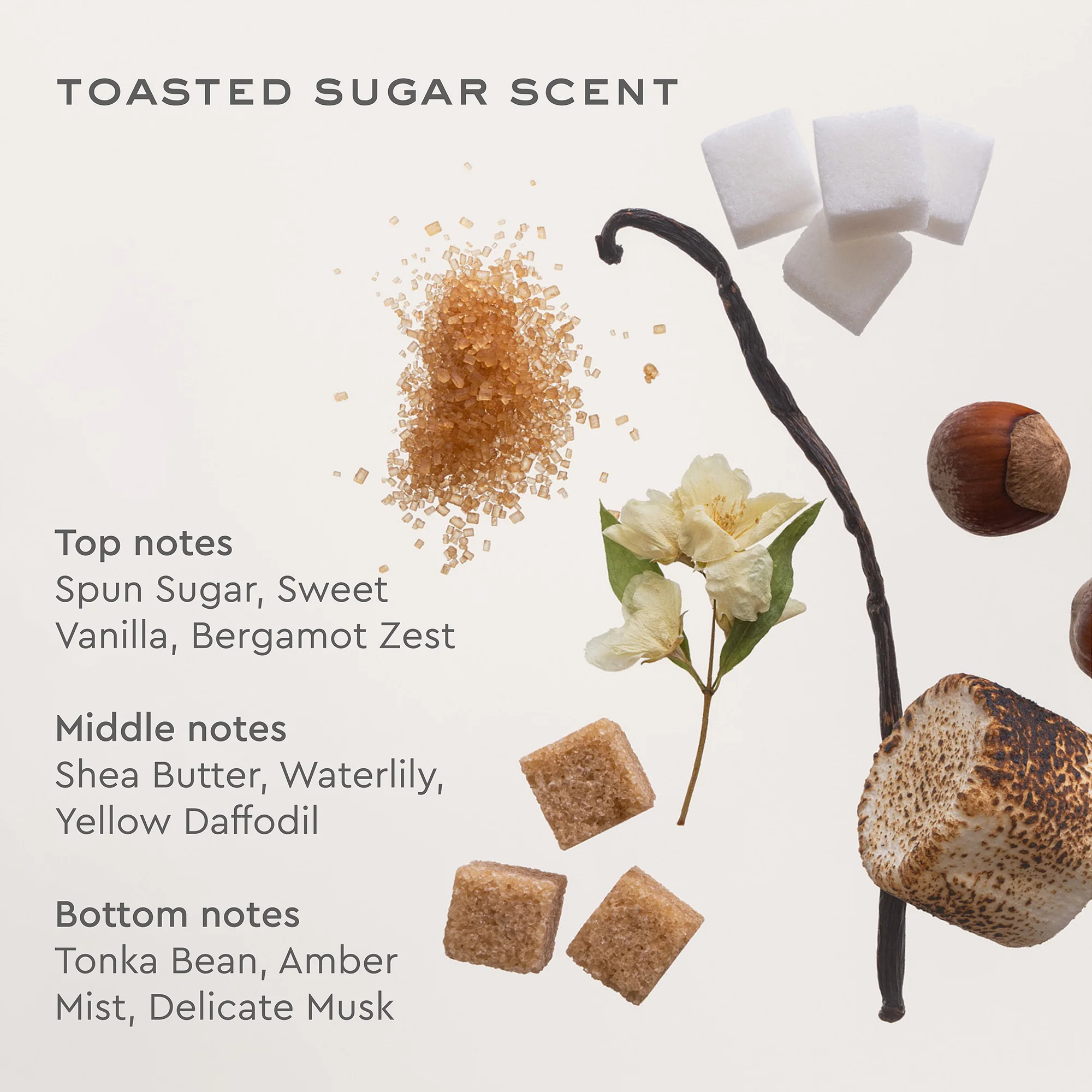 Aura Hair + Body Mist™ in Toasted Sugar - Image 3